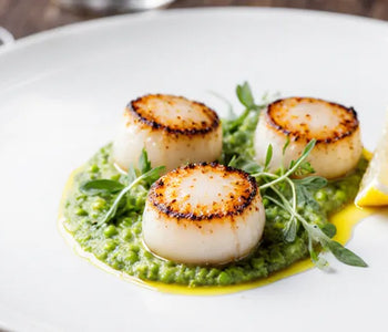 Pan-Seared Scallops