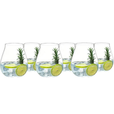 Riedel Gin Glasses (Set of 6) (7067464106042)