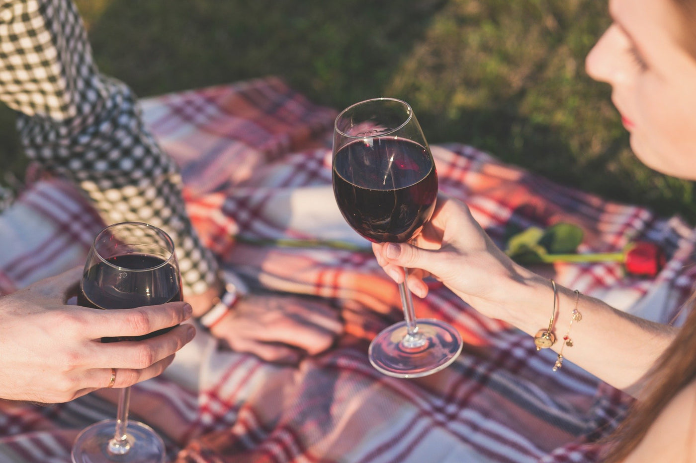 People sitting in a park having a picnic and enjoying a glass of red wine