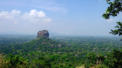 From Court Duty to Colombo Drama