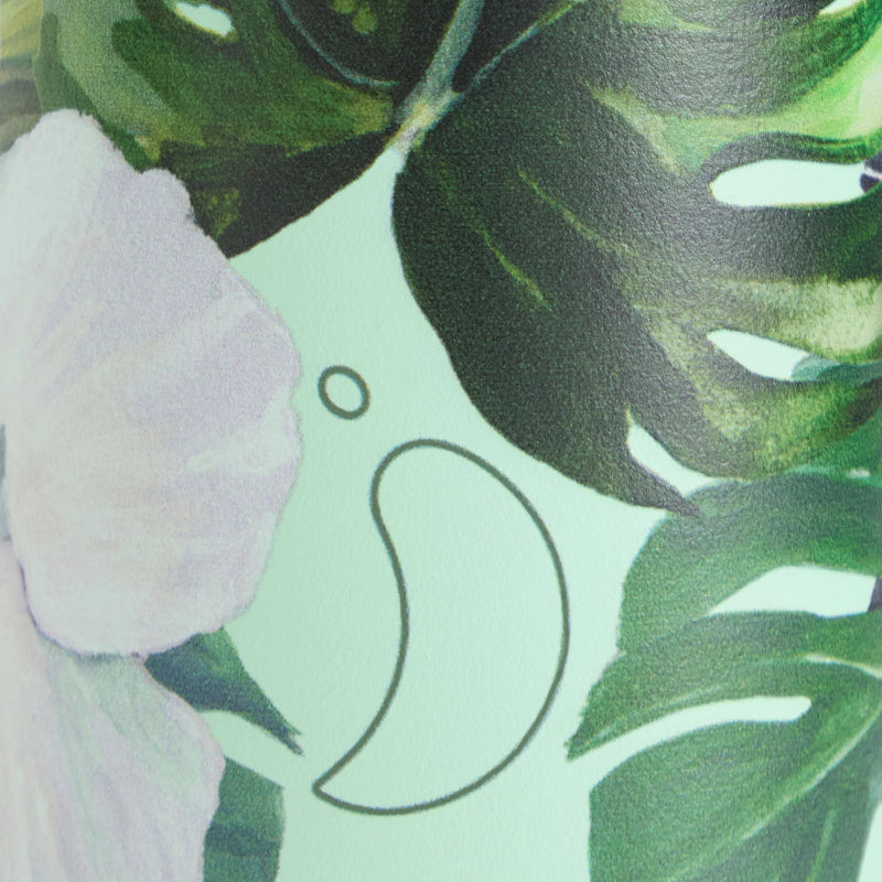 Close-up of tropical leaves with a light green background