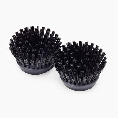 Two black bristle brushes on a white background