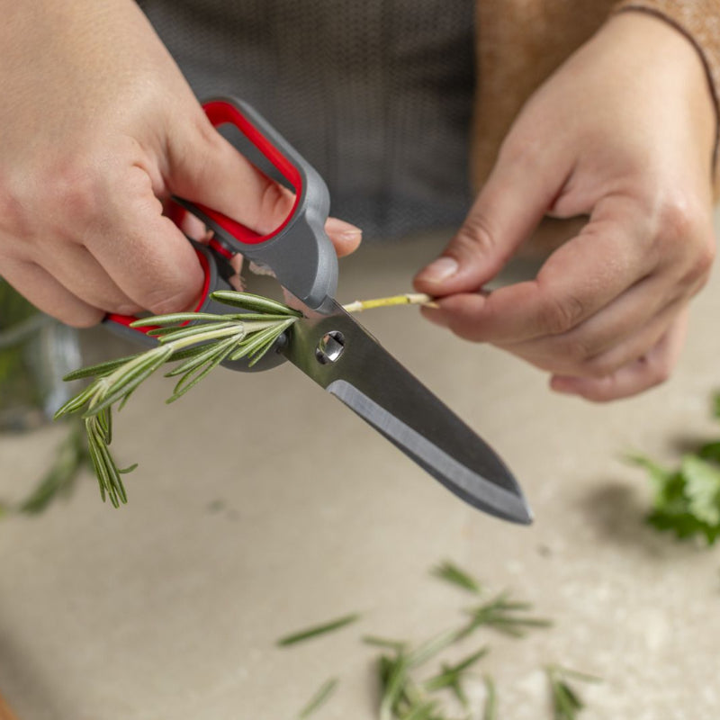 Person using kitchen shears to trim herbs on a countertop