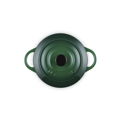 Green cast iron cookware pot on a white background