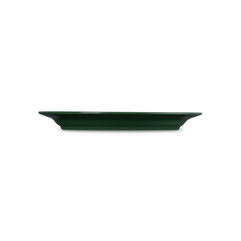Rectangular dark green plate on a white background
