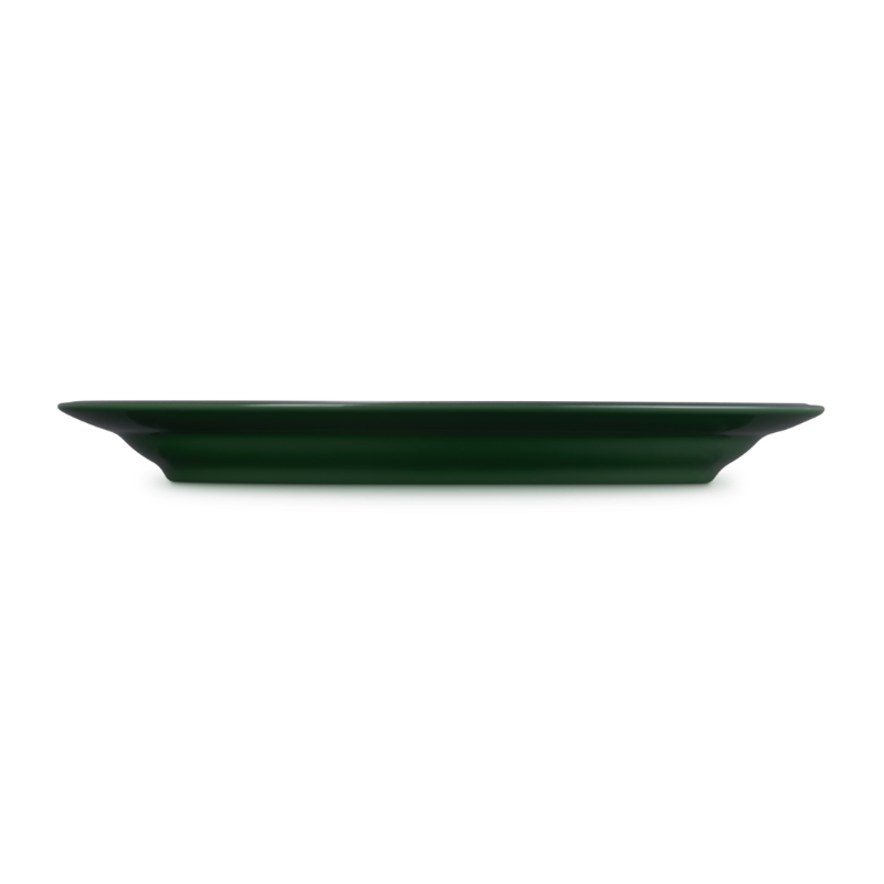 Green rectangular plate on a white background
