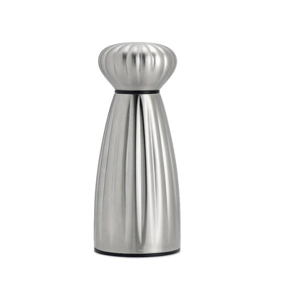Stainless steel salt shaker on a white background