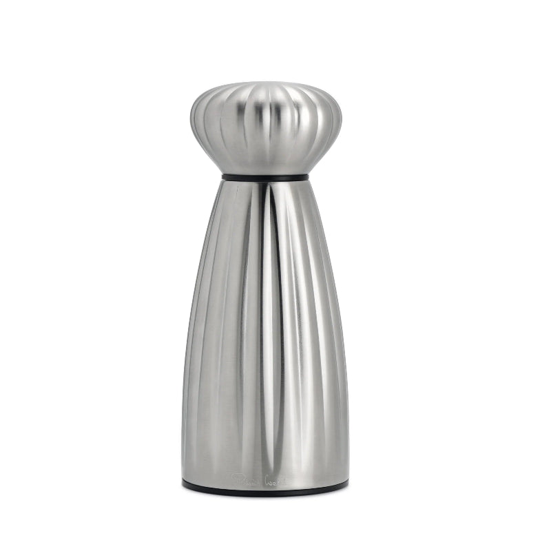 Stainless steel salt shaker on a white background