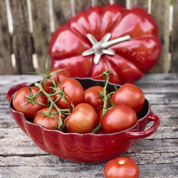 Staub Cast Iron Tomato Cocotte 25cm Cherry (342334) (7311024226362)