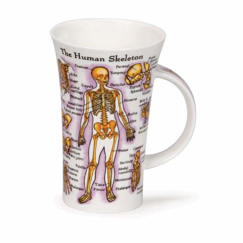 Dunoon Glencoe Human Body Mug 0.5L - Art of Living Cookshop (2368263127098)