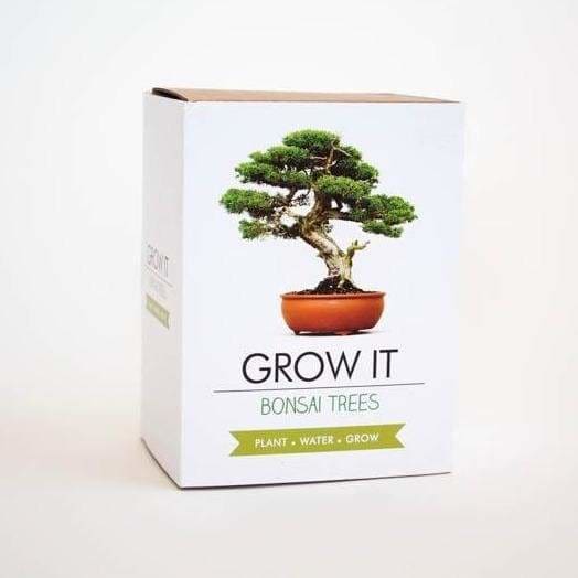 GROW IT Bonsai Trees - Art of Living Cookshop (4408355160122)
